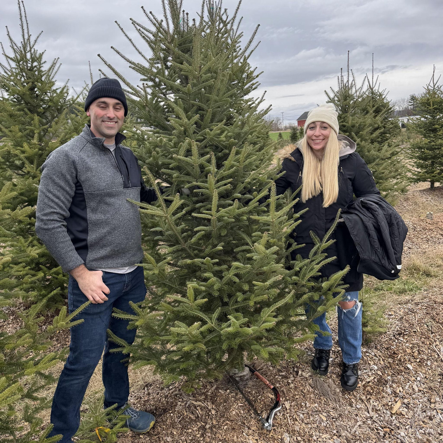 Our first tree