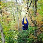 Carolina Ziplines Canopy Tour