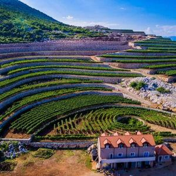 Winery/Wine Cellar Tour, Montenegro