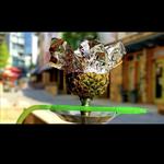 Orient Hookah Lounge