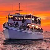 Southern Star Dolphin Cruise