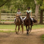 Trail Rides
