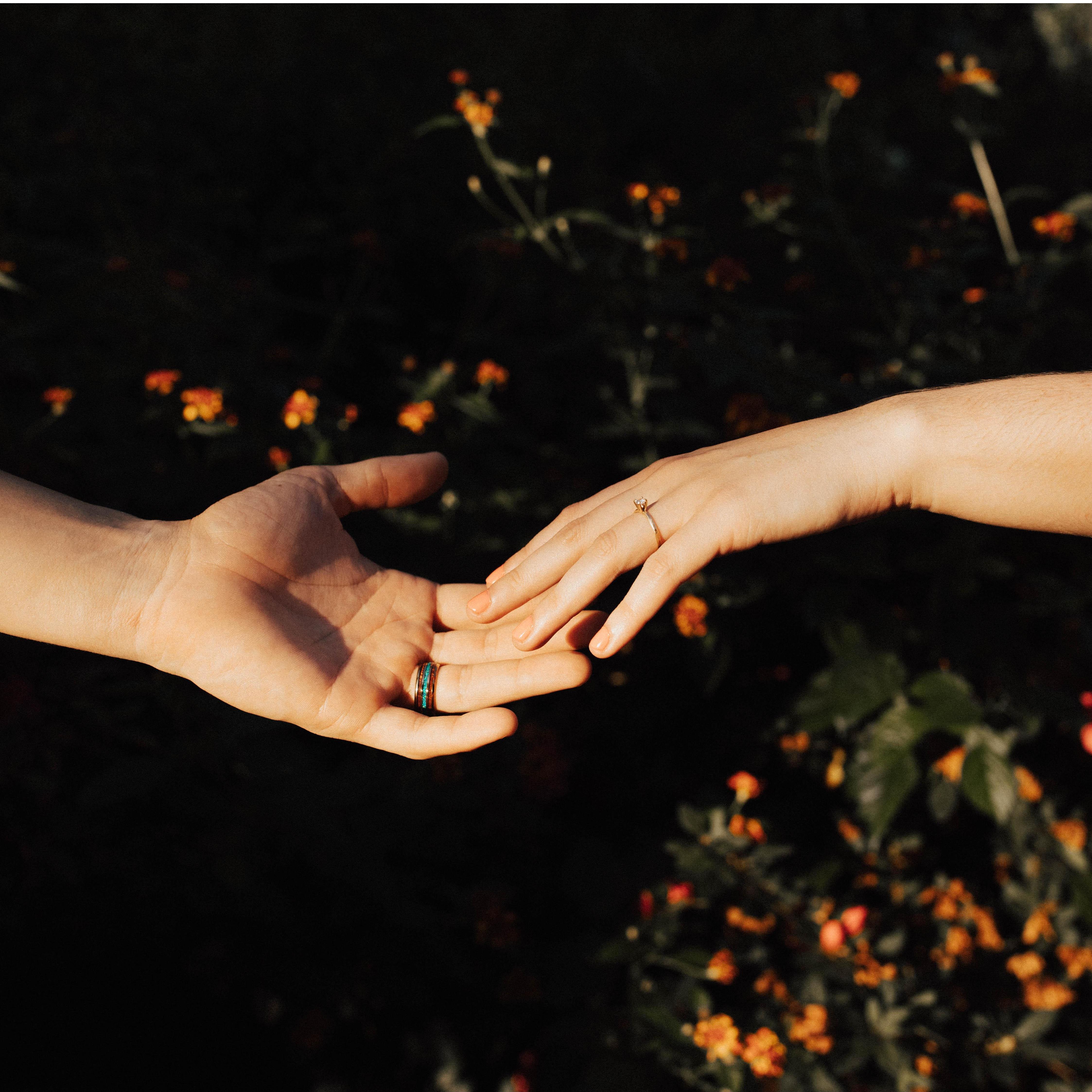 Courtney Elyse Photography
