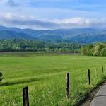 Cades Cove Loop Road