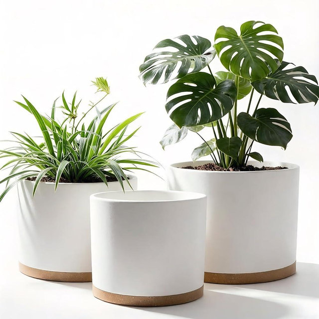 Areutxbis (3 Pack) 10 Inch Plant Pot with Drainage and Saucers, 10/9/8 Inch Plastic Plant Pots for Indoor Plants, Modern Round Planter Set for Flowers, Herbs, Garden Decor (White-Brown)