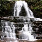 Laurel Falls Trail