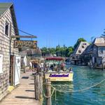 Fish Town- Leland