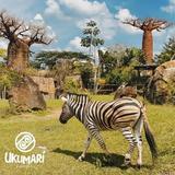 Ukumari