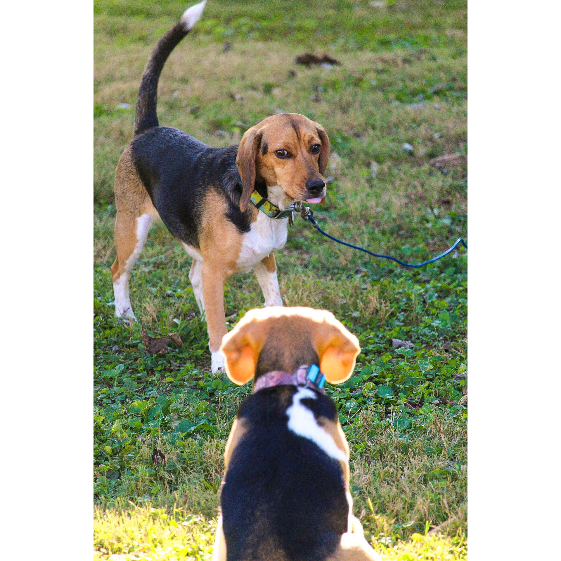 Proposal Day - October 22nd, 2023