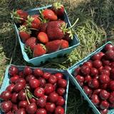 Fishkill Farms