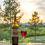 Parker-Binns Vineyard