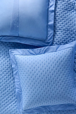 Zina Cotton Embroidered Woven Euro Sham