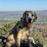Lion's Head Summit Trail