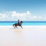BB's Horseback Riding