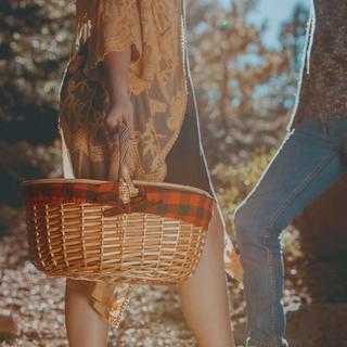 Country Picnic Basket