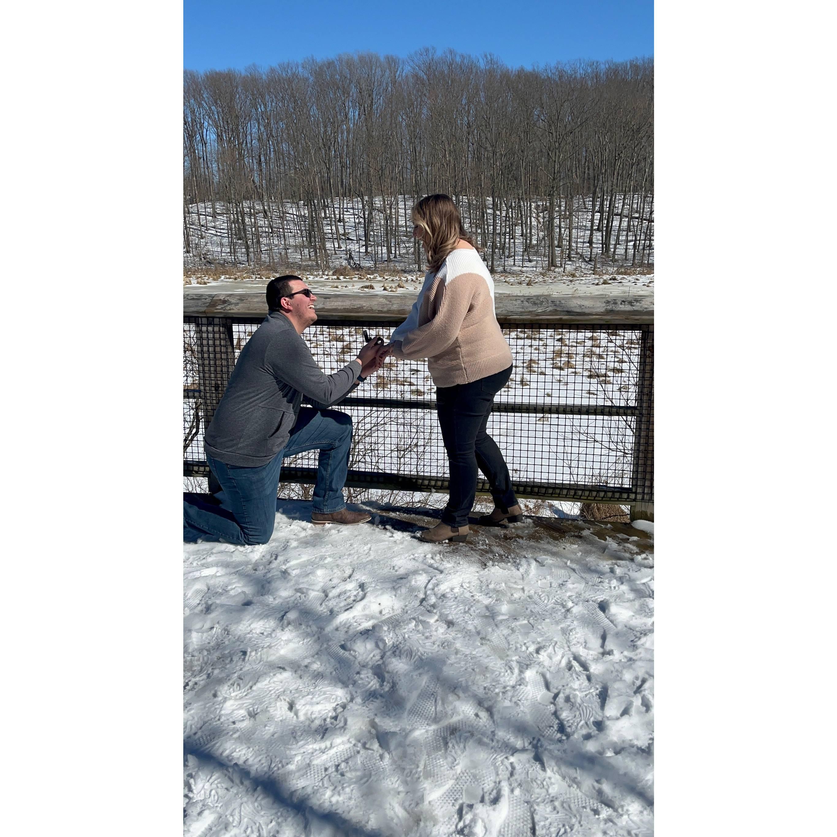 Austin proposing to Nikki on Feb. 20, 2022