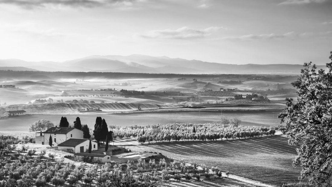 The Wedding Website of Nikkie Warren and Adam Chapman