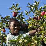 Bartlett's Orchard