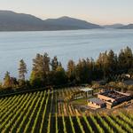 CedarCreek Estate Winery