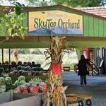 Sky Top Orchard