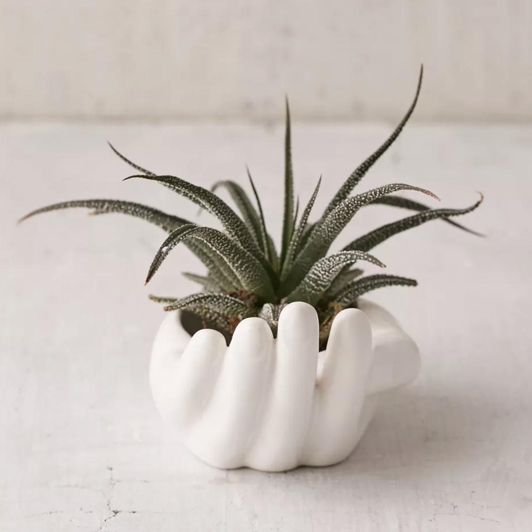Hand Dish
