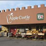 Apple Castle