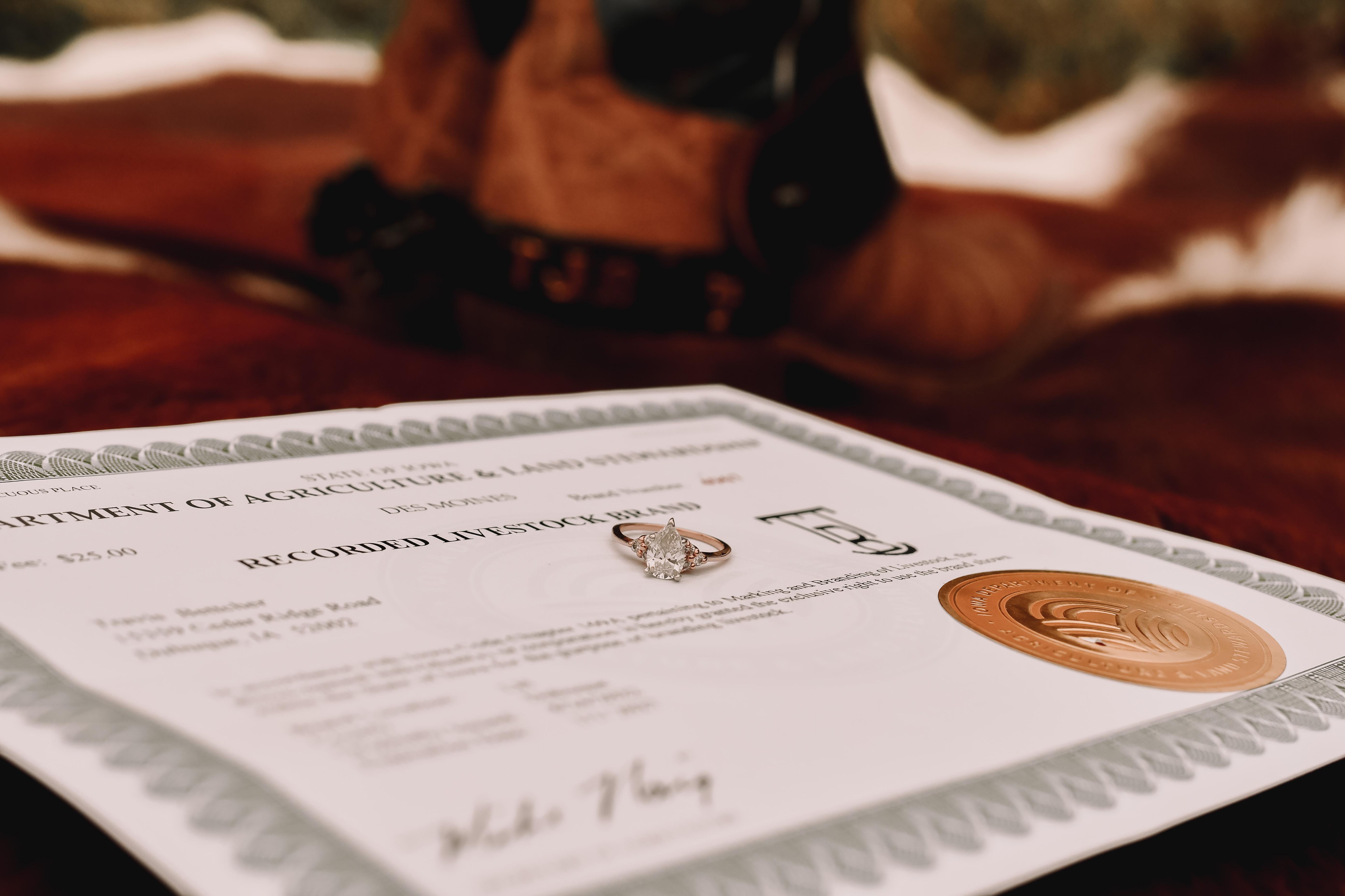 The Wedding Website of Taylor Dolan and Travis Bettcher