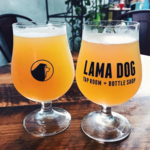 Lama Dog Tap Room