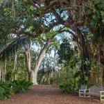 Fairchild Tropical Botanic Garden