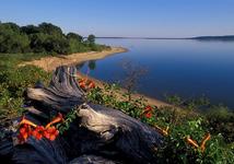 Lake Texoma State Park