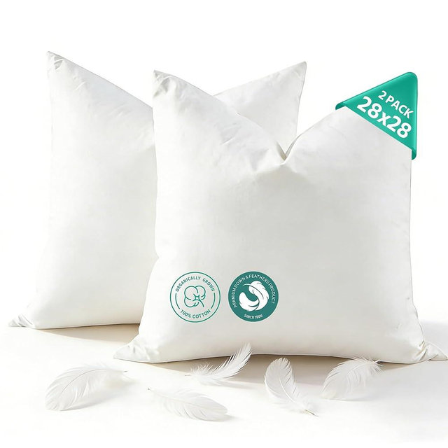 APSMILE Organic Cotton Goose Feather Down Plus Euro Throw Pillow Inserts, 28x28 Inch Set of 2, Soft Supportive Large Square Decorative Pillow Forms for Couch, Sofa, Bed