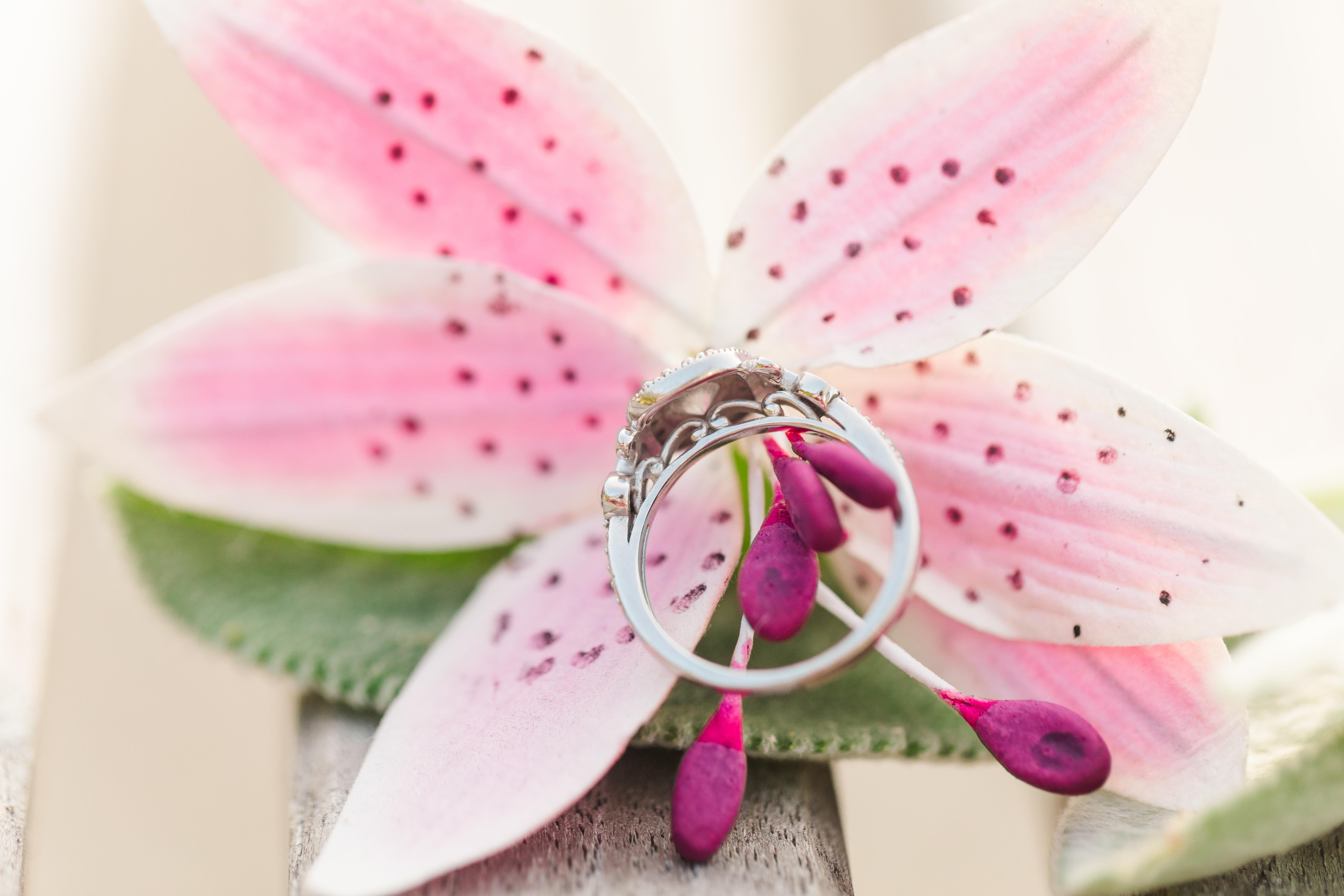 The Wedding Website of Katie Parmelee and Carson Isaac