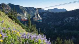Snowbird Resort