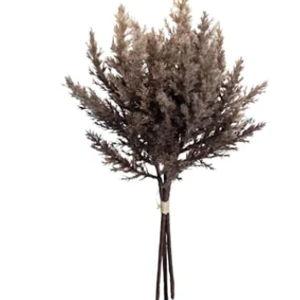 Brown Pampas Grass Bundle, 14" (At Home)