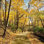 Happy Hollow Park