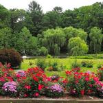 Friendship Botanic Gardens