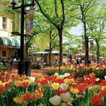 Pearl Street Mall