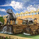 Fernbank Museum | 3D Theater | Forest