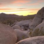 Joshua Tree National Park