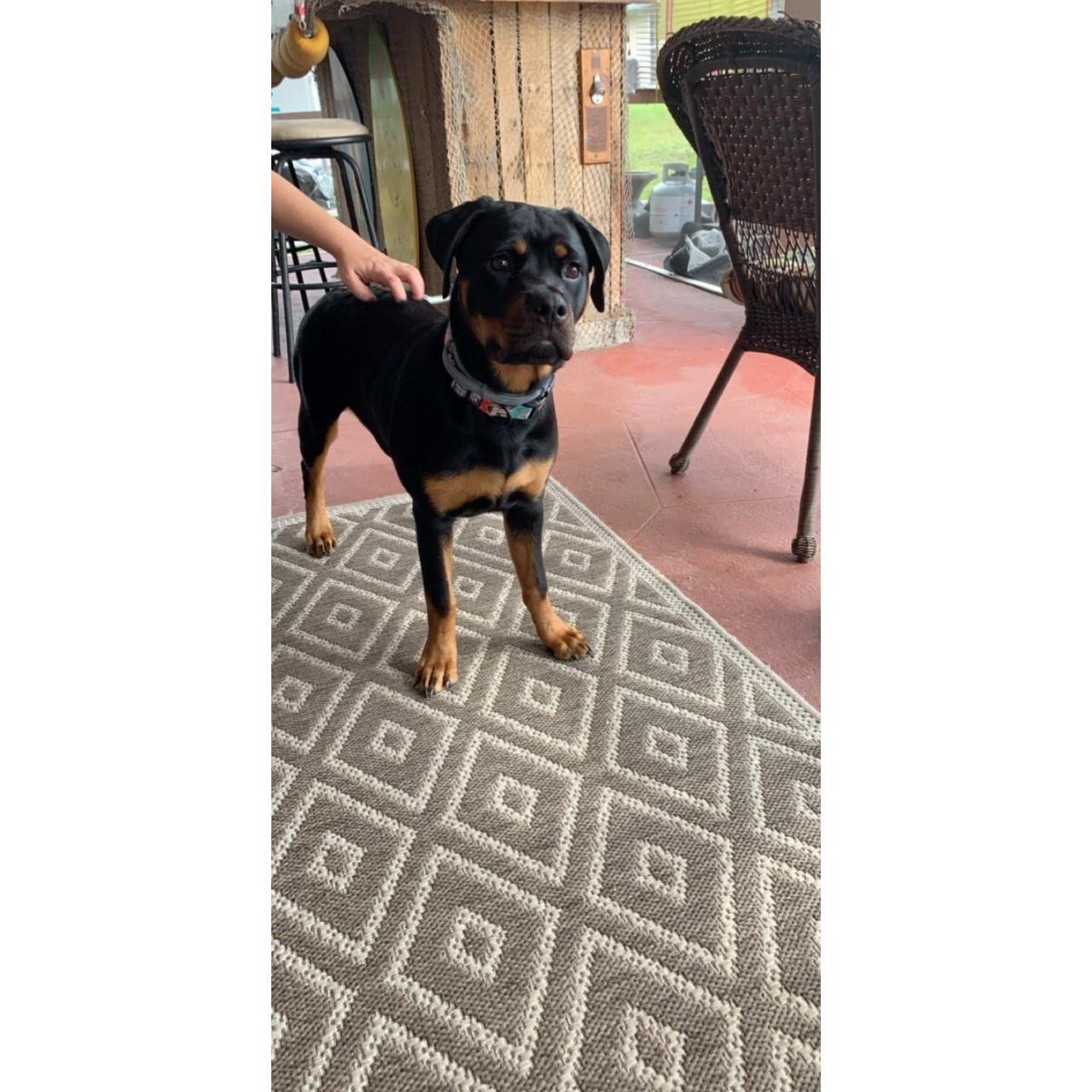 Ruby