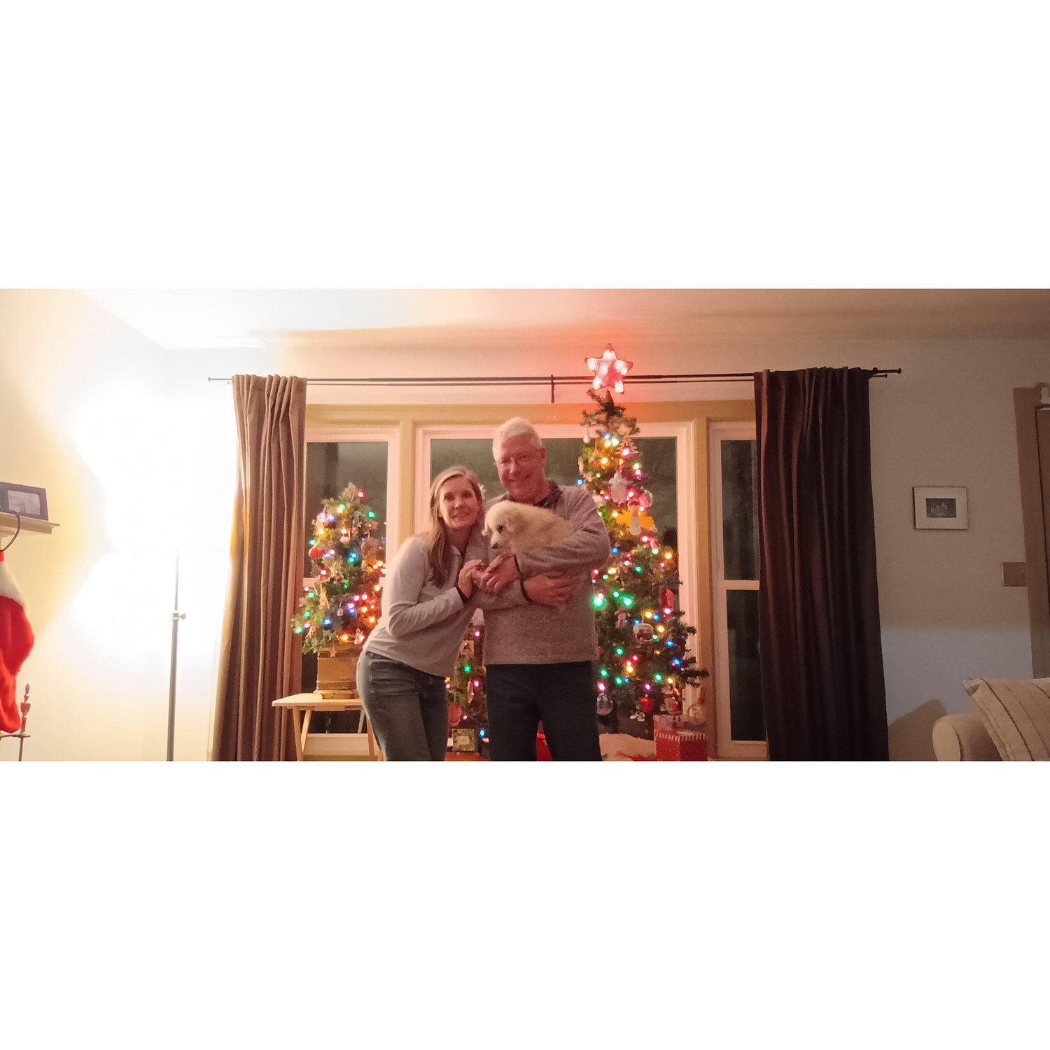 2023 Christmas with our little guy Wally....RIP sweet boy!