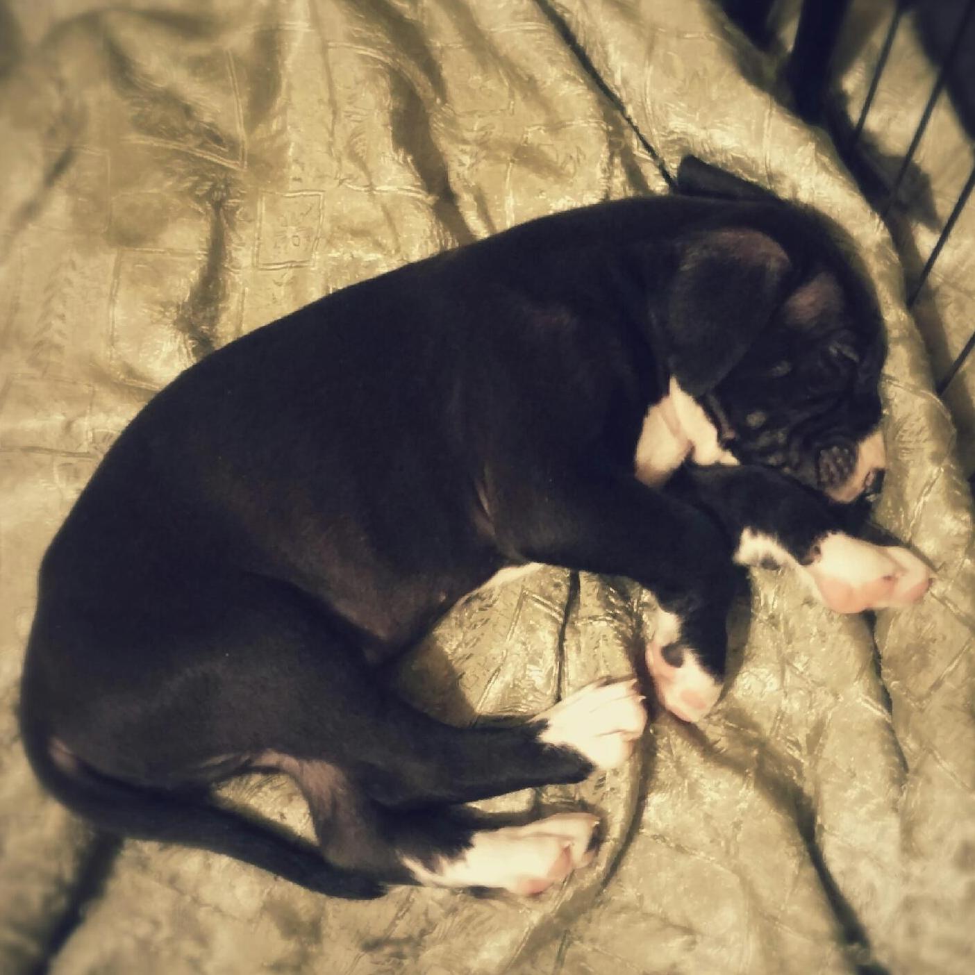 The day we picked out Kygo!
