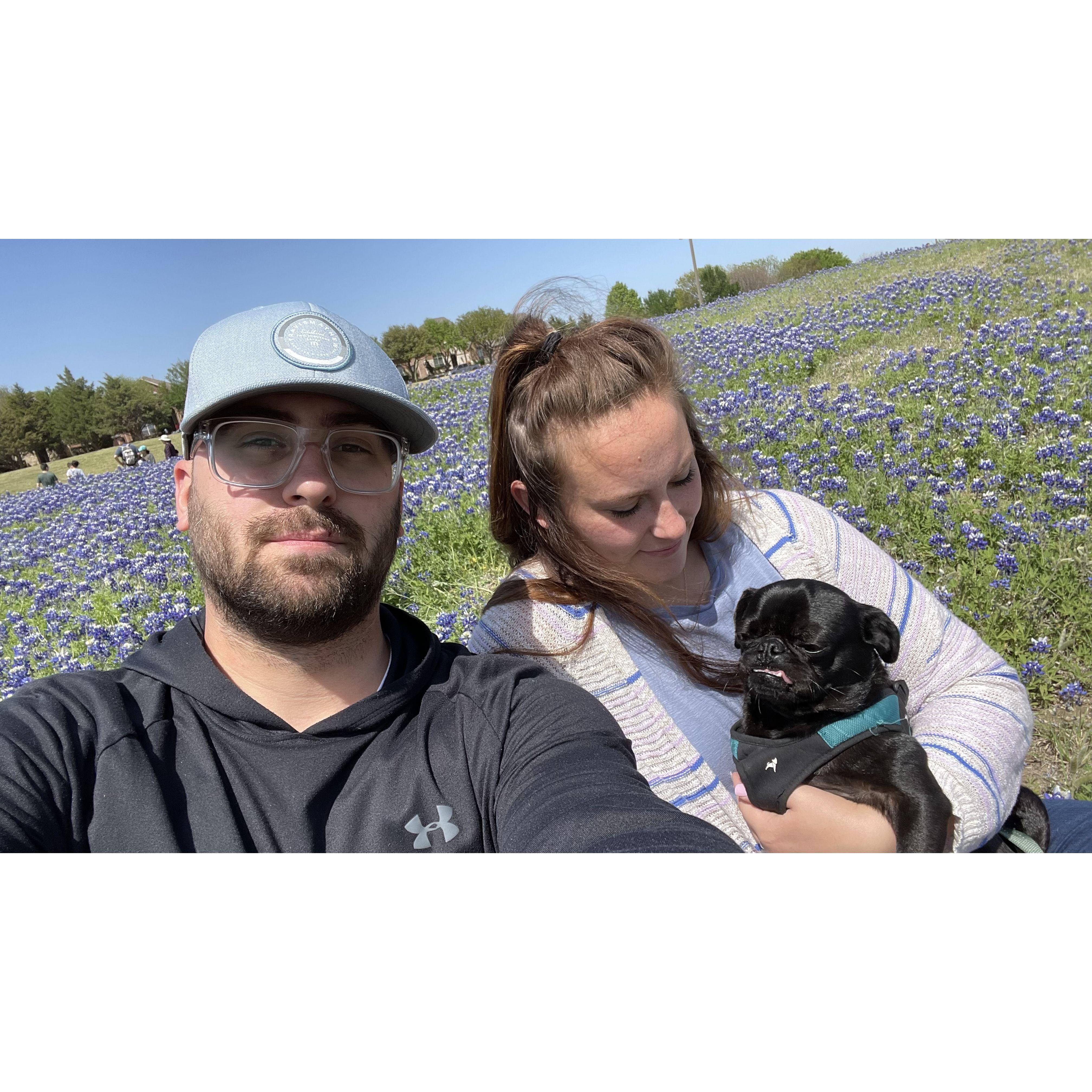 Bluebells and Otie Man