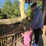 Phoenix Zoo