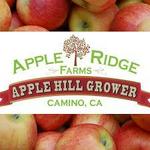 Apple Ridge Farms - Apple Hill #20