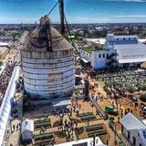 Magnolia Market