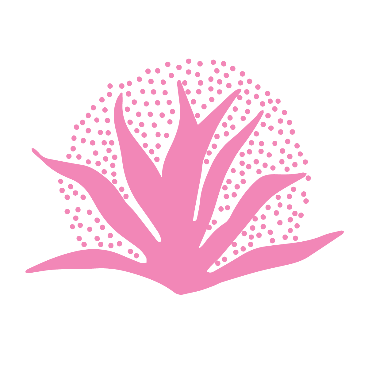 The Wedding Website of Shukan Patel and Dilan Shah