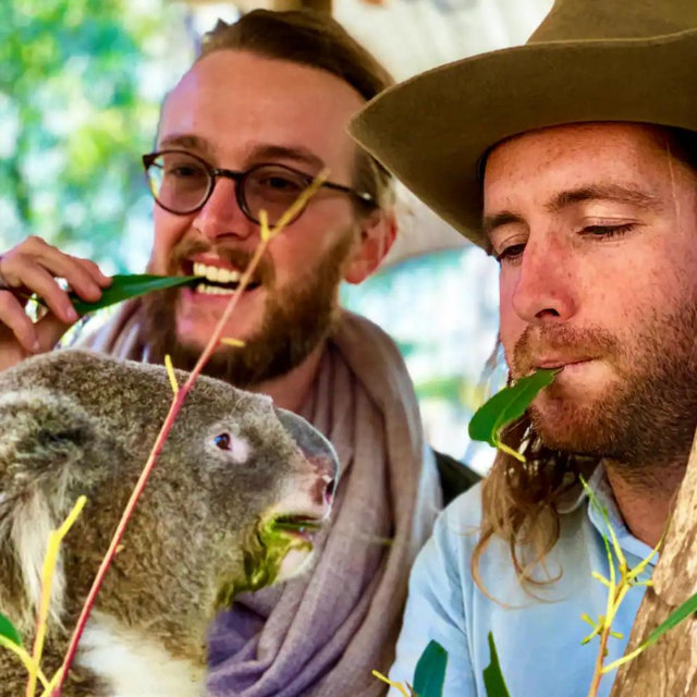 Honeymoon Outback Animal Encounter