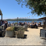 Hog Island