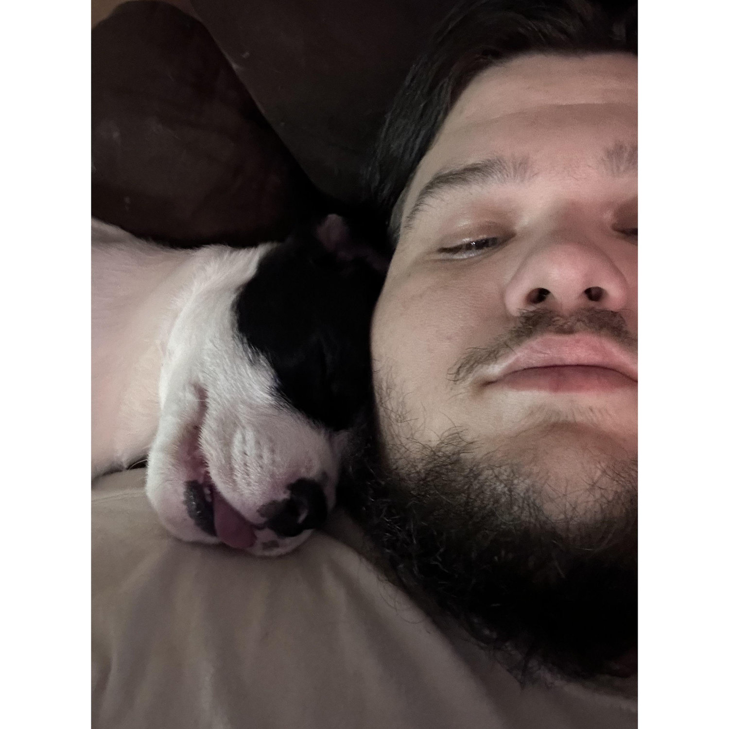Maximus and Daniel